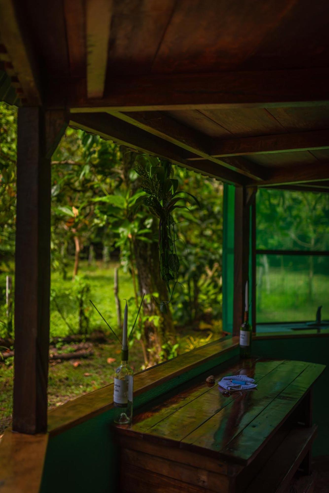Villa Dolphin Quest Costa Rica Piedras Blancas Esterno foto